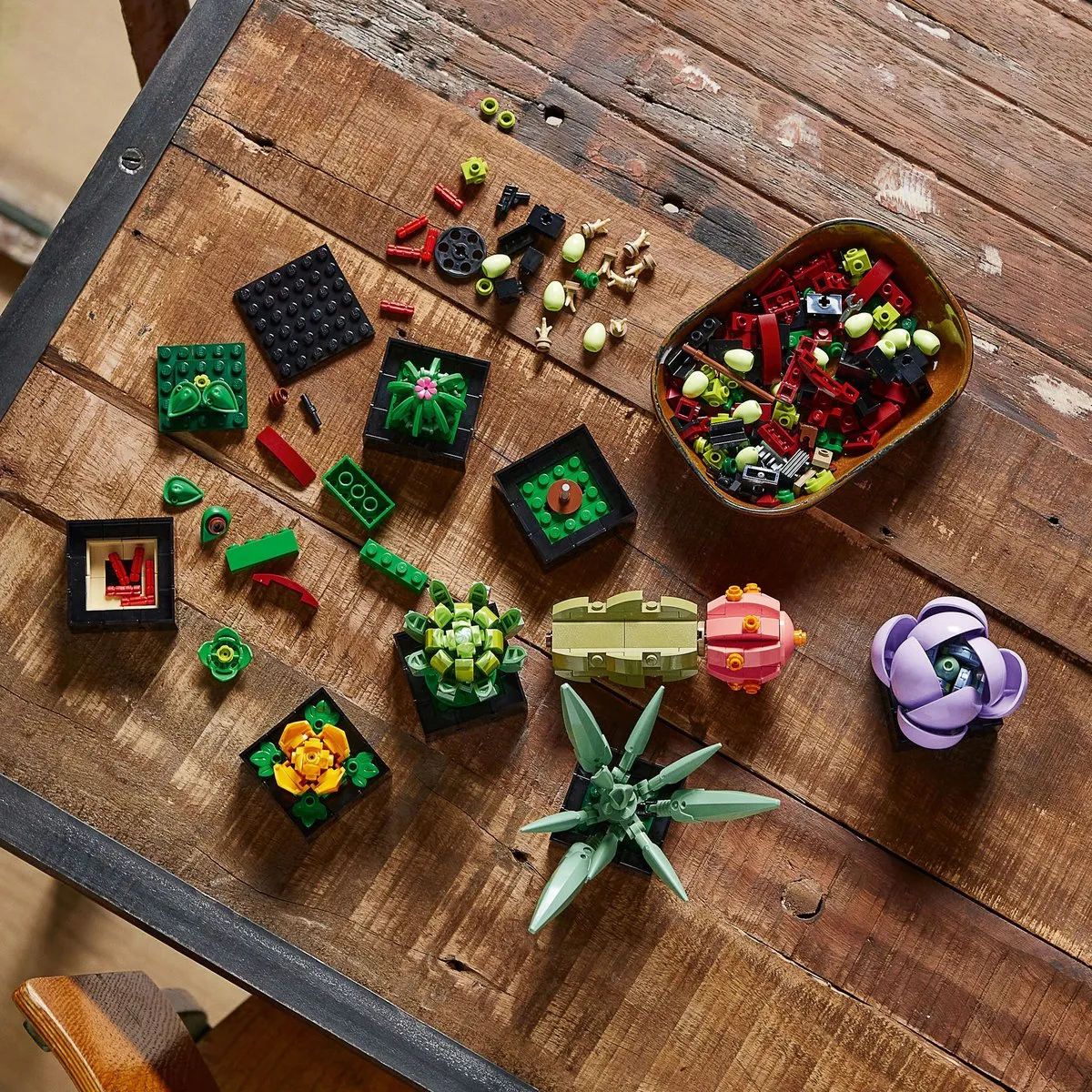 LEGO Botanical Collection Vetplanten 10309 - 771 Stukken - Meerkleurig