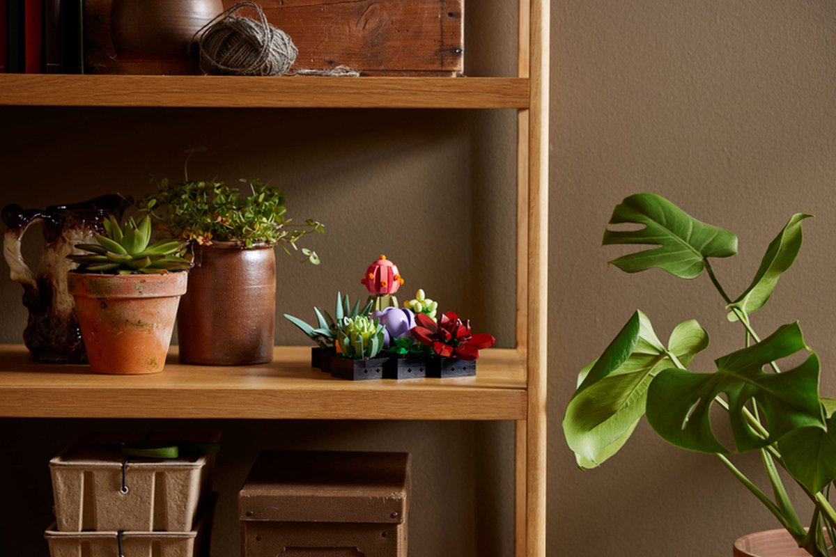 LEGO Vetplanten - Botanical Collection - 10309