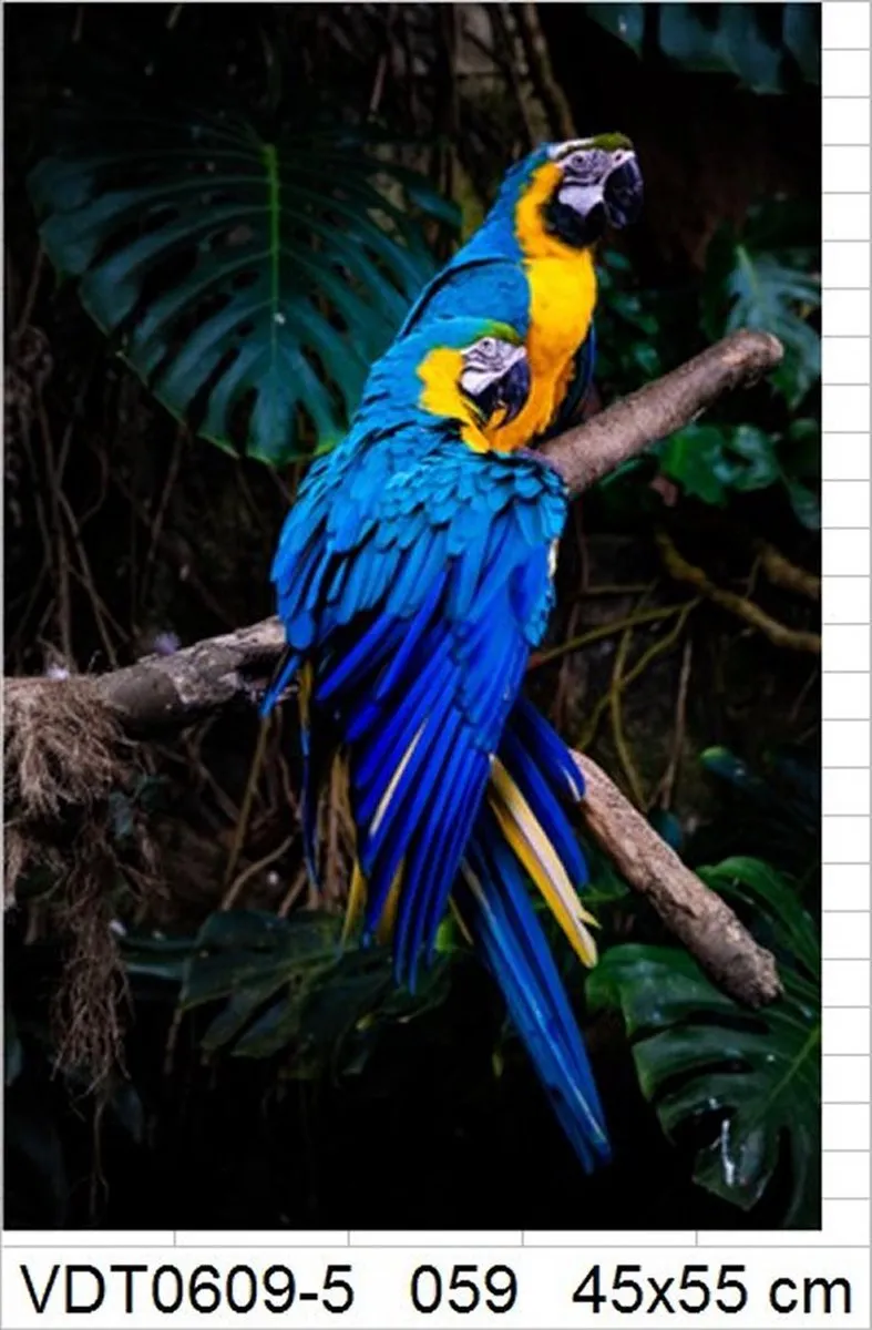 VDTOYS VDT059 Diamond Painting Parrots 1 - Groot formaat 45x55cm