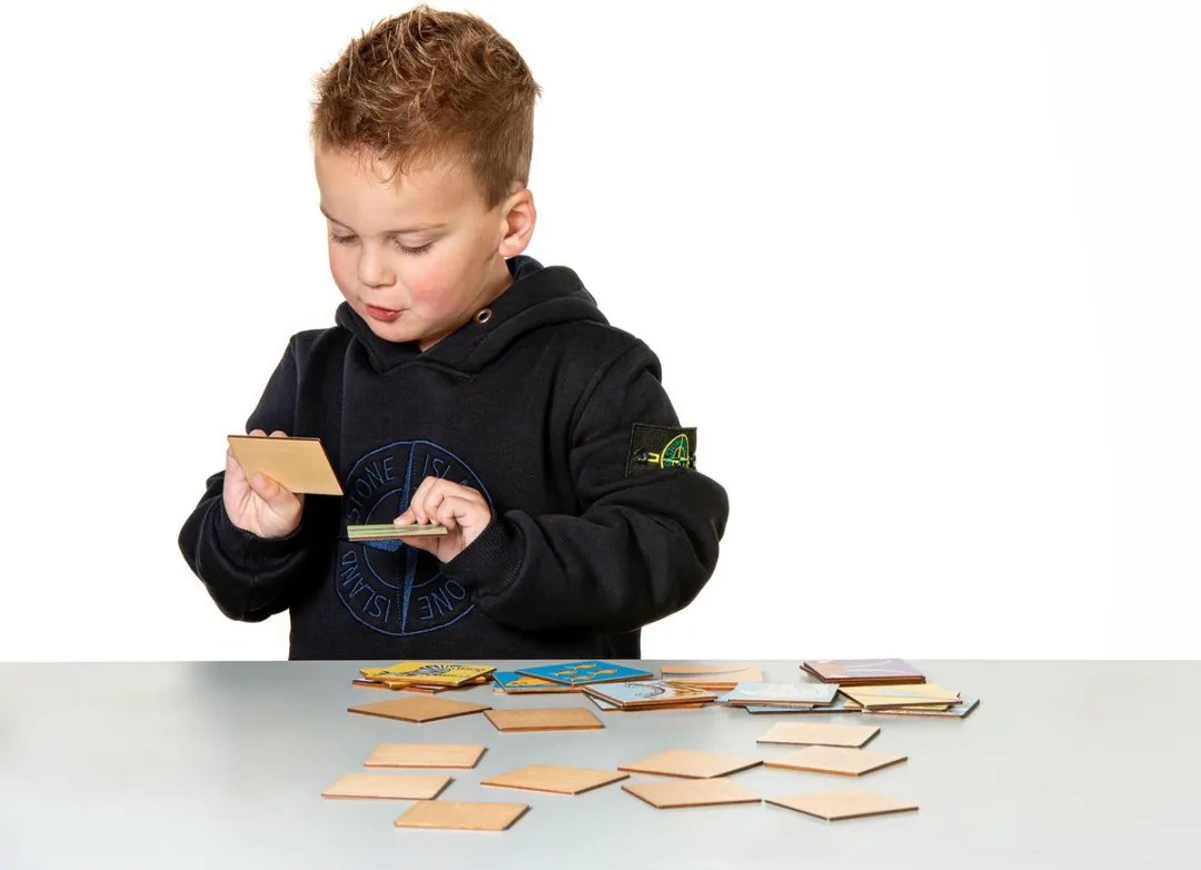 Toys for Life Memoryspel Dieren - 48 Kaartjes