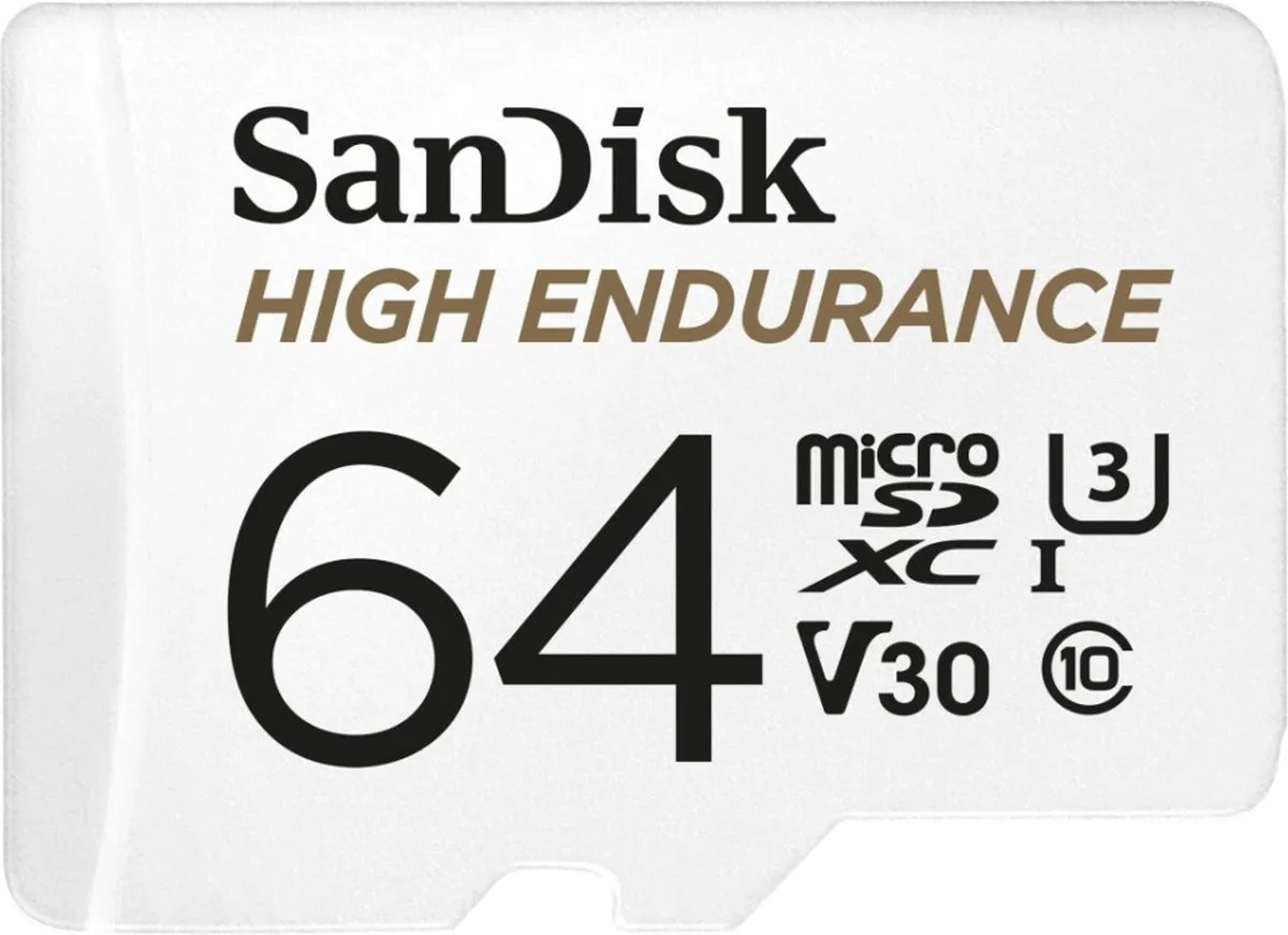 SANDISK High Endurance