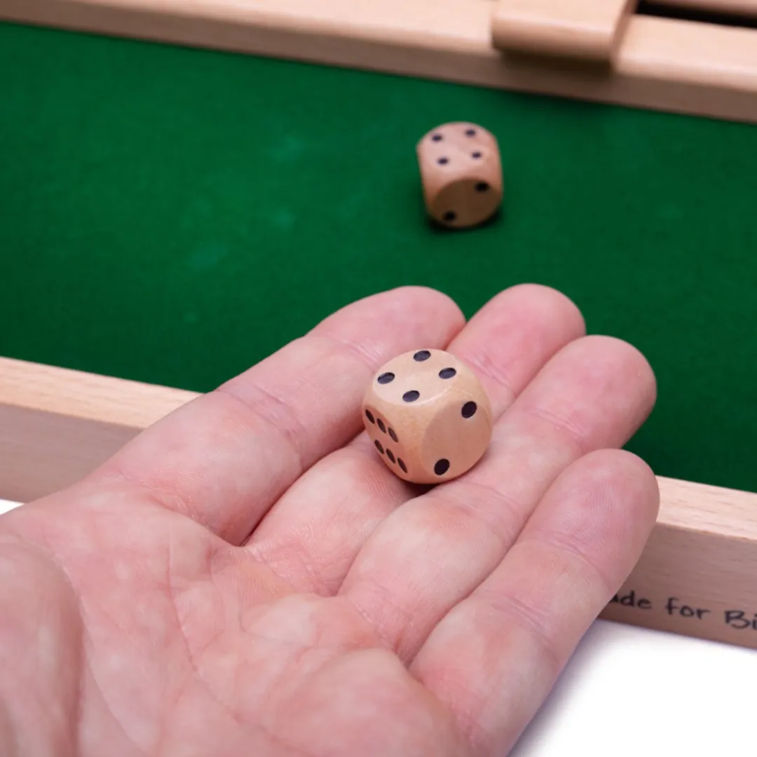 BIGJIGS Sluit de Doos - 1 Speler - Meerdere kleuren