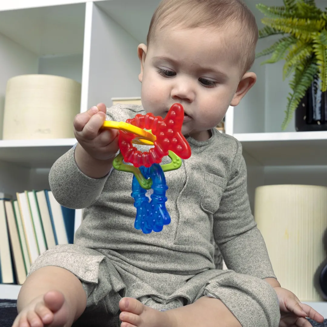 Baby Einstein Cool Critters Bijtring - 4 Stuks - Multicolor