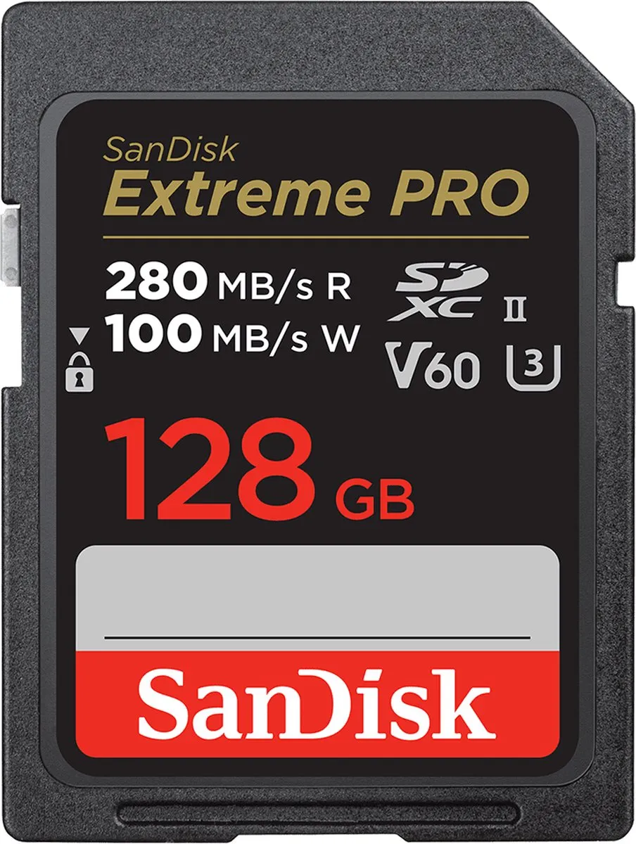 SanDisk SDSDXEP-128G-GN4IN SDXC Geheugenkaart 128GB