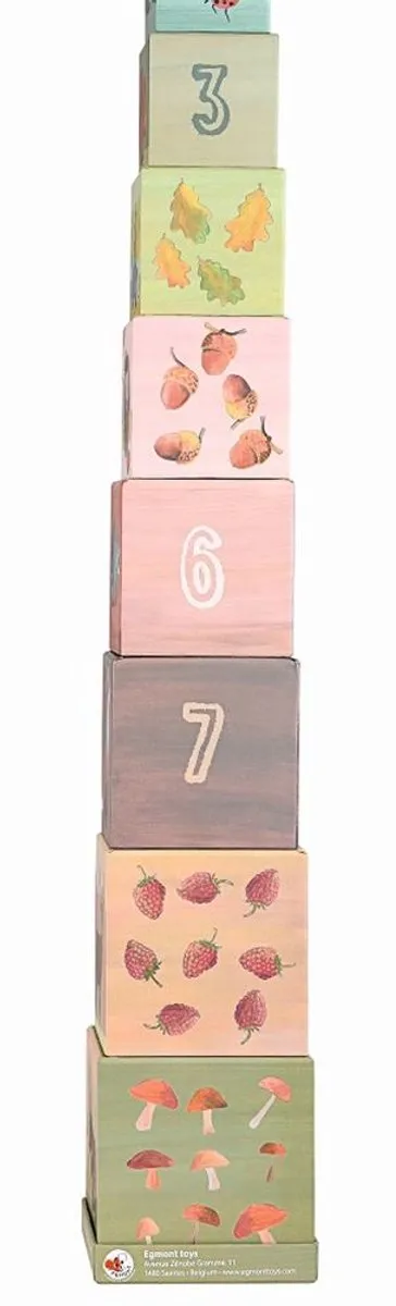 Egmont Toys Stapelkubussen Bosdieren 9 Stuks