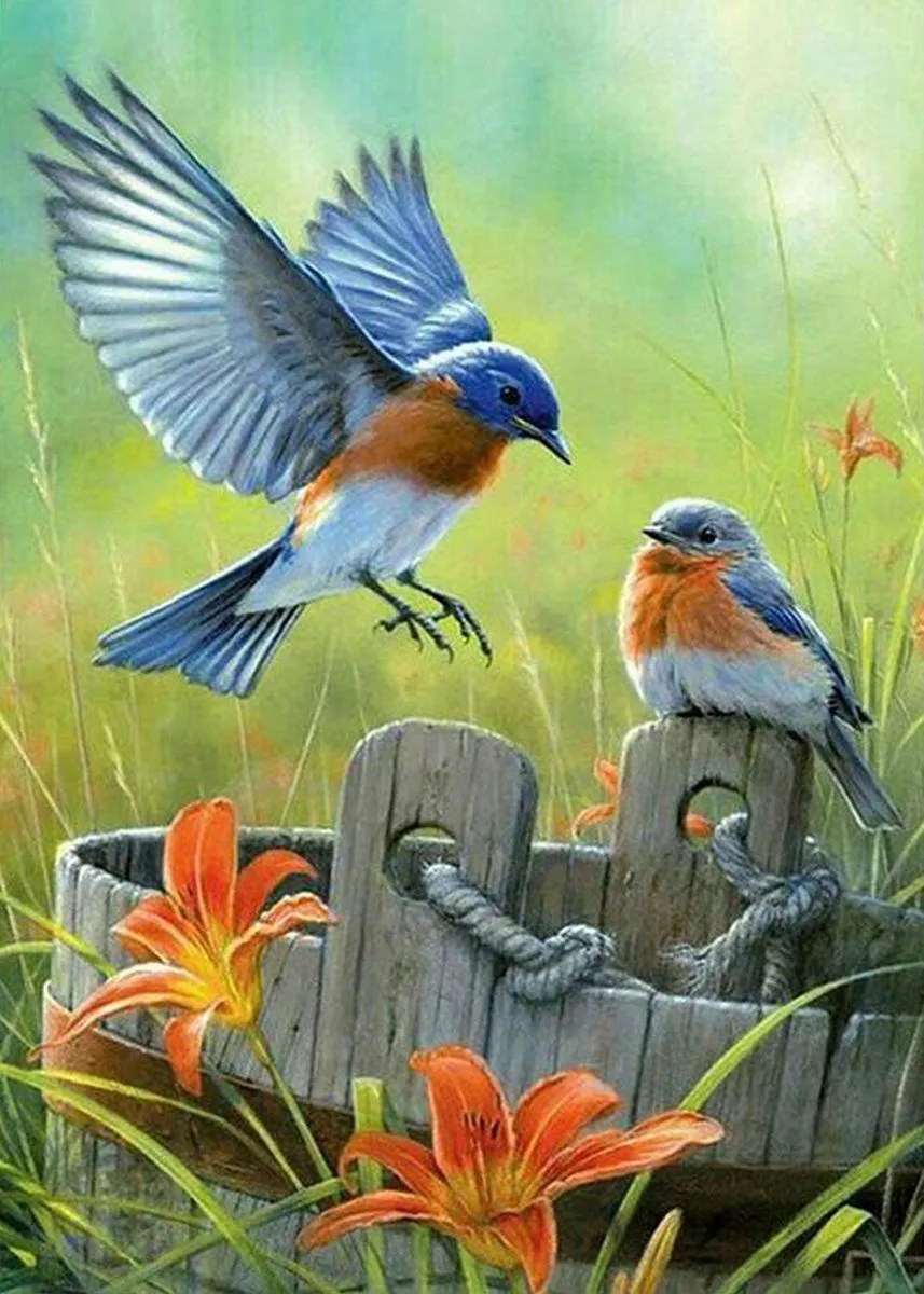 VDTOYS Diamond Painting VDTA079 Two Birds