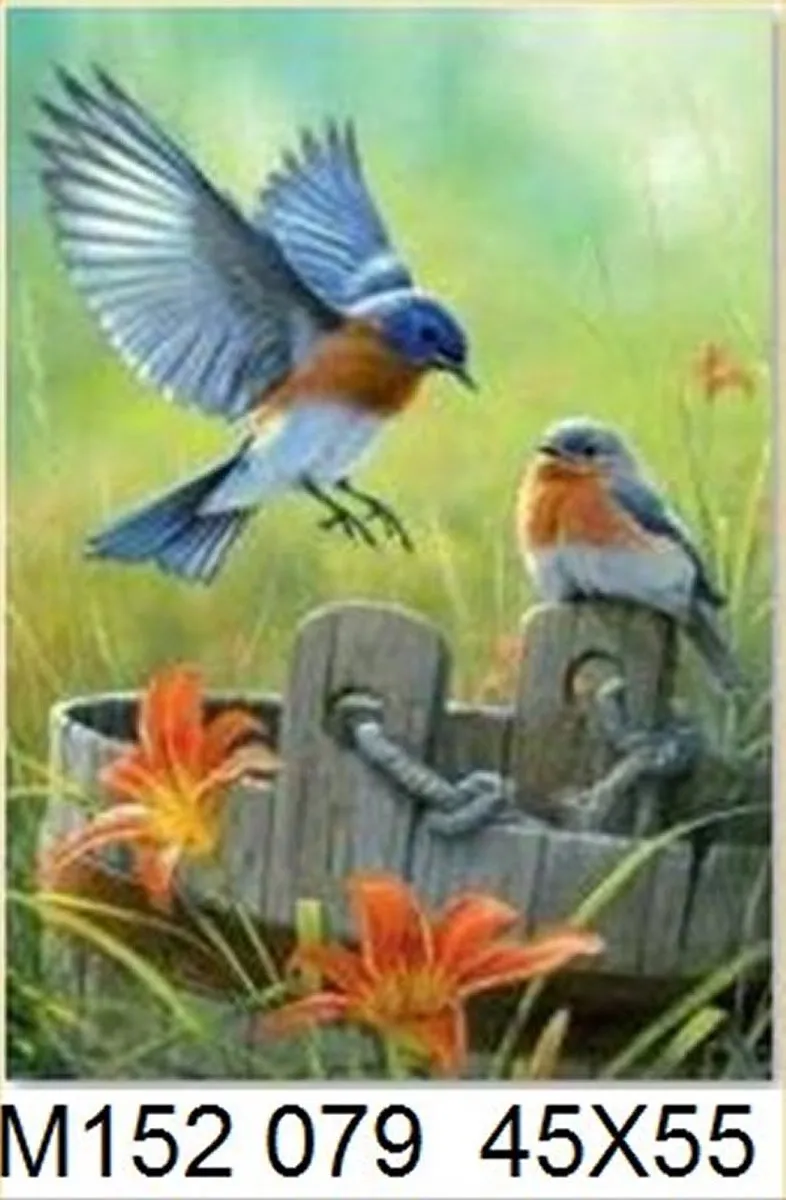 VDTOYS Diamond Painting VDTA079 Two Birds - Groot 45x55cm