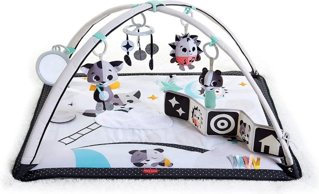 Tiny Love Gymini Babygym