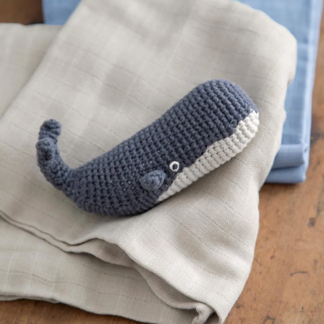 Sebra Marion The Whale Rammelaar Ocean Dive Navy