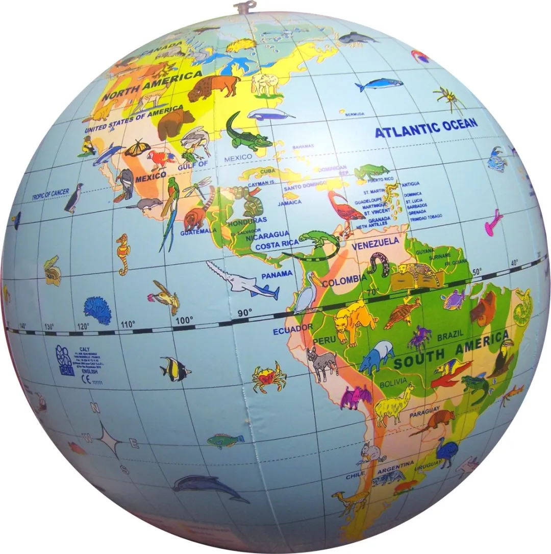 Caly Toys Maxi Globe Dieren van de Wereld 50cm - Meerkleurig
