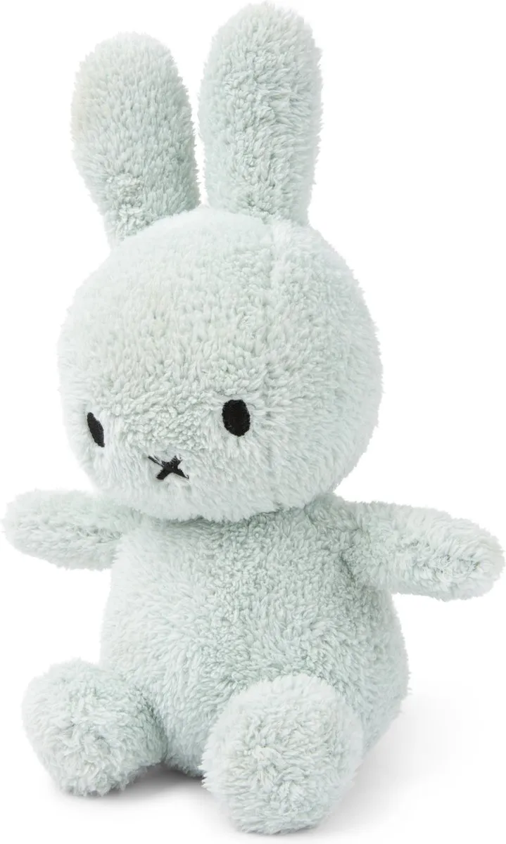 Bon Ton Toys Nijntje Terry Light Pop - 23 cm - Groen