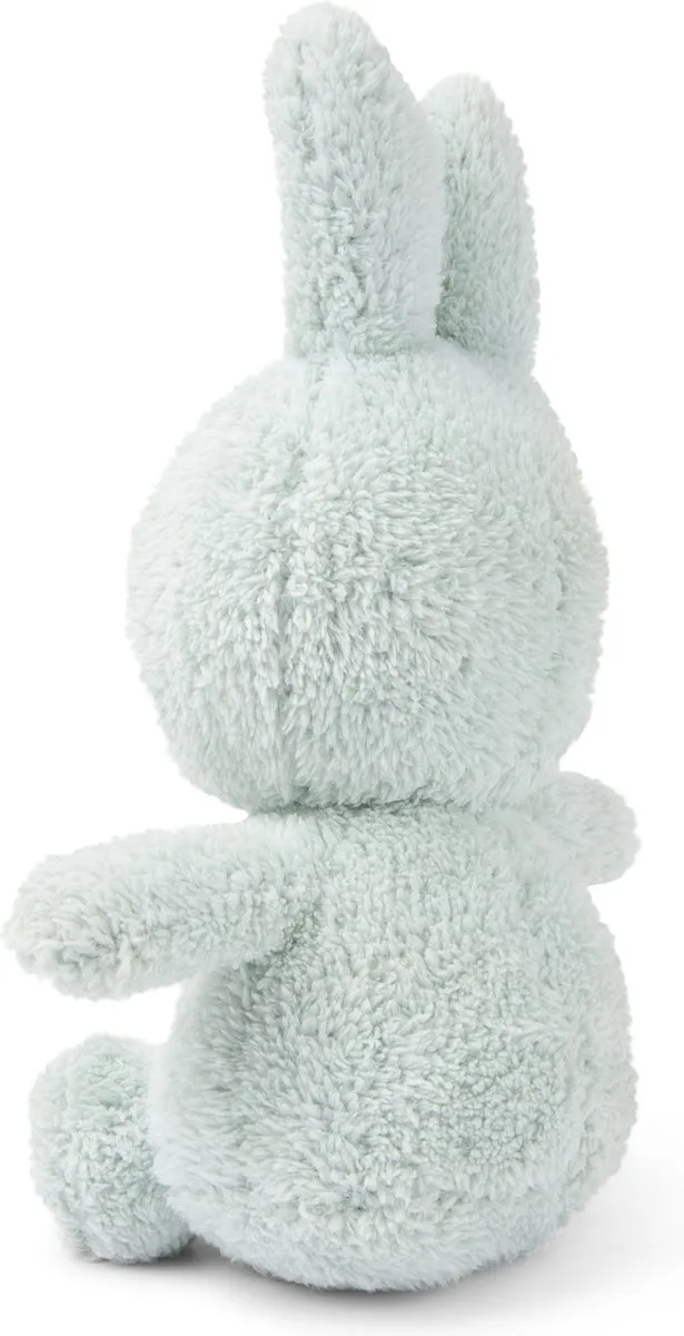 Bon Ton Toys Nijntje Terry Light Pop - 23 cm - Groen