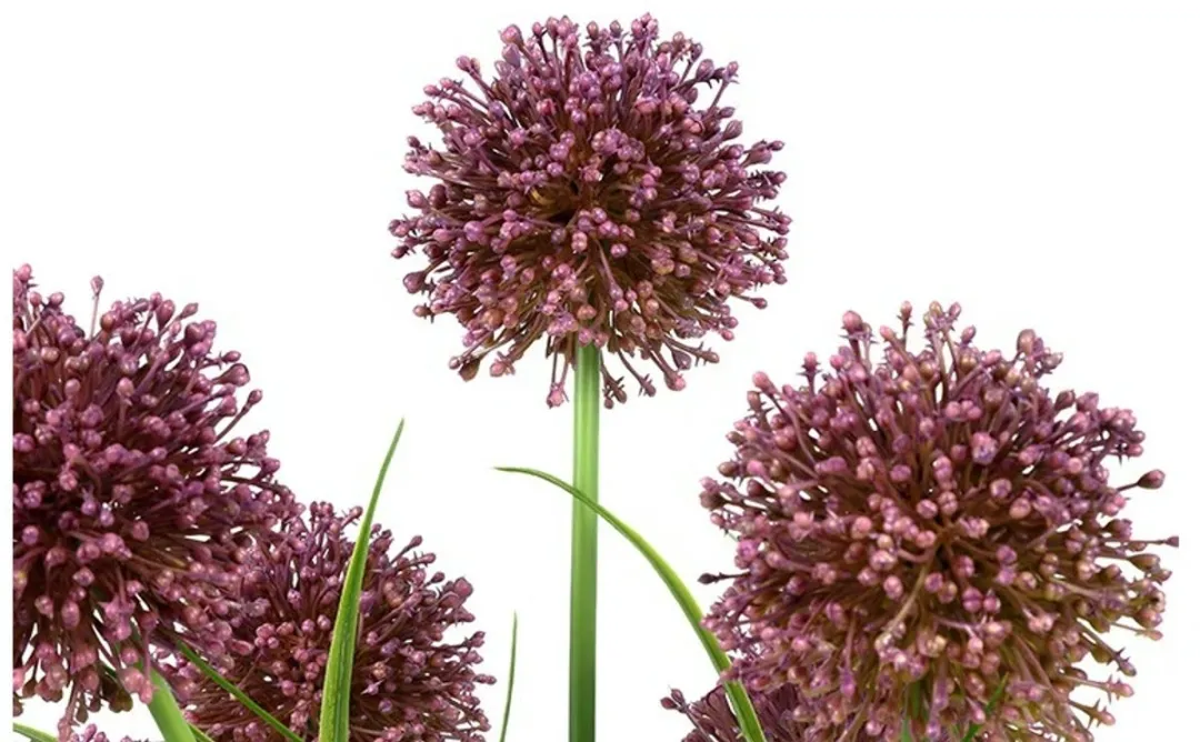 Countryfield Kunstplant Allium H60cm.