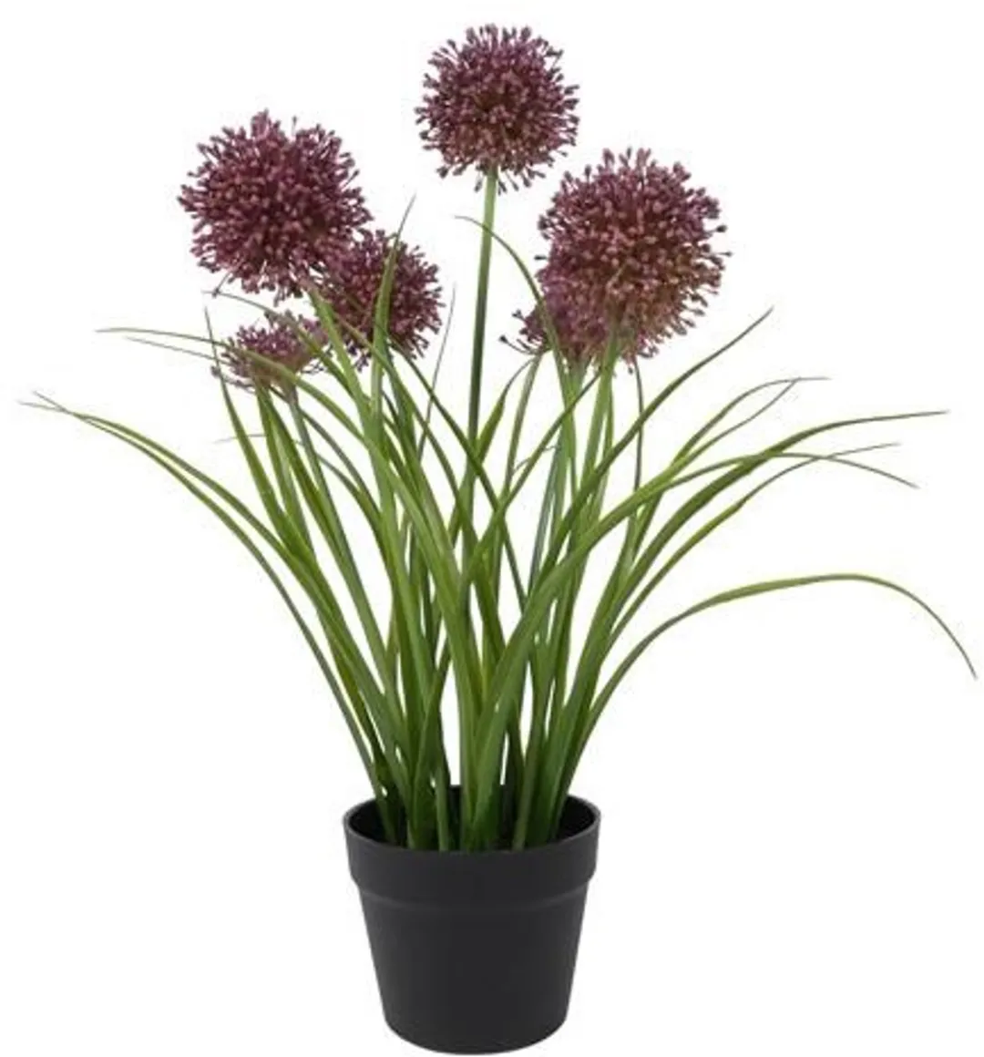Countryfield Kunstplant Allium H60cm.