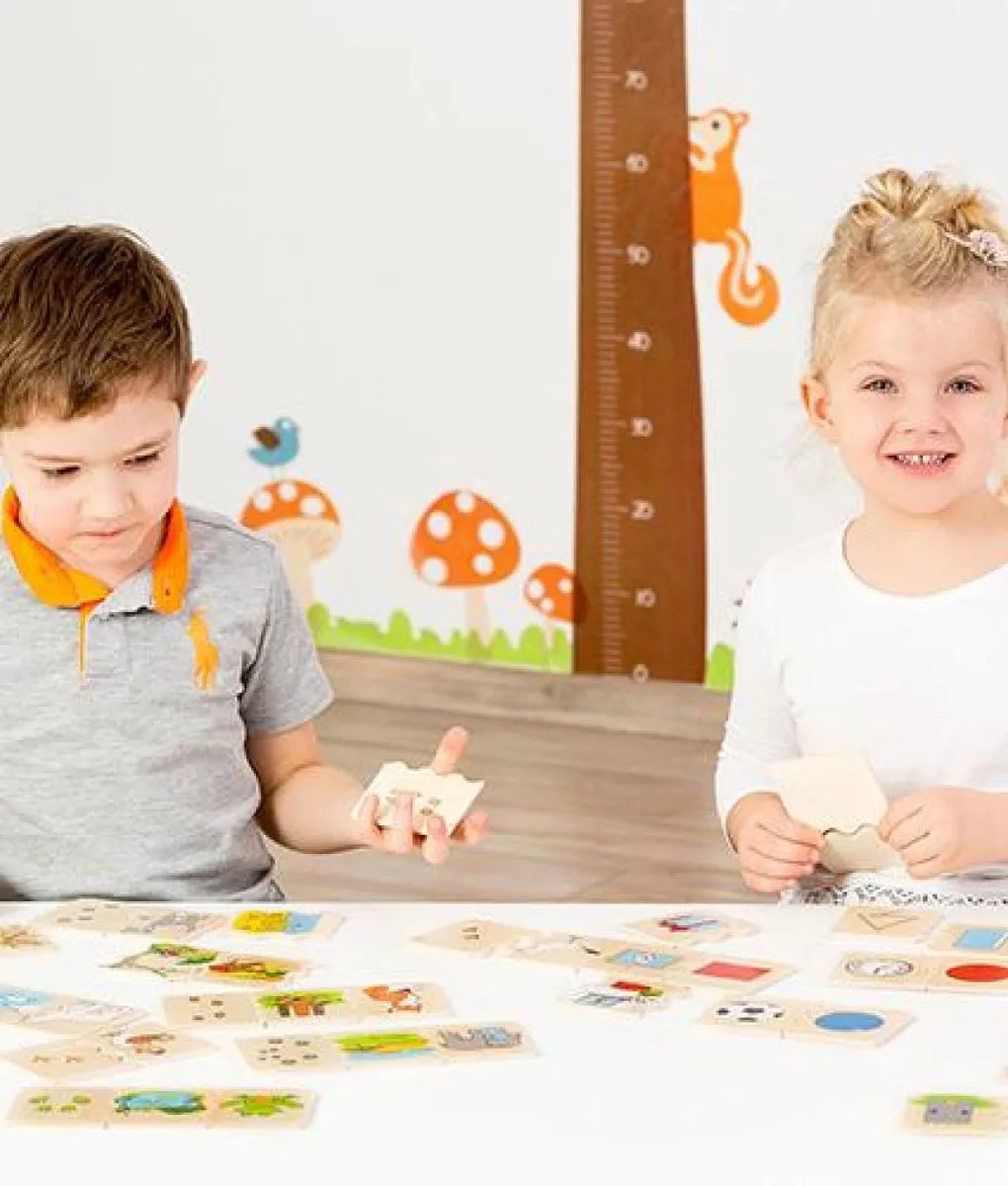 Beleduc Houten Cognitopuzzel Vormen - 35 Stuks - Multicolor