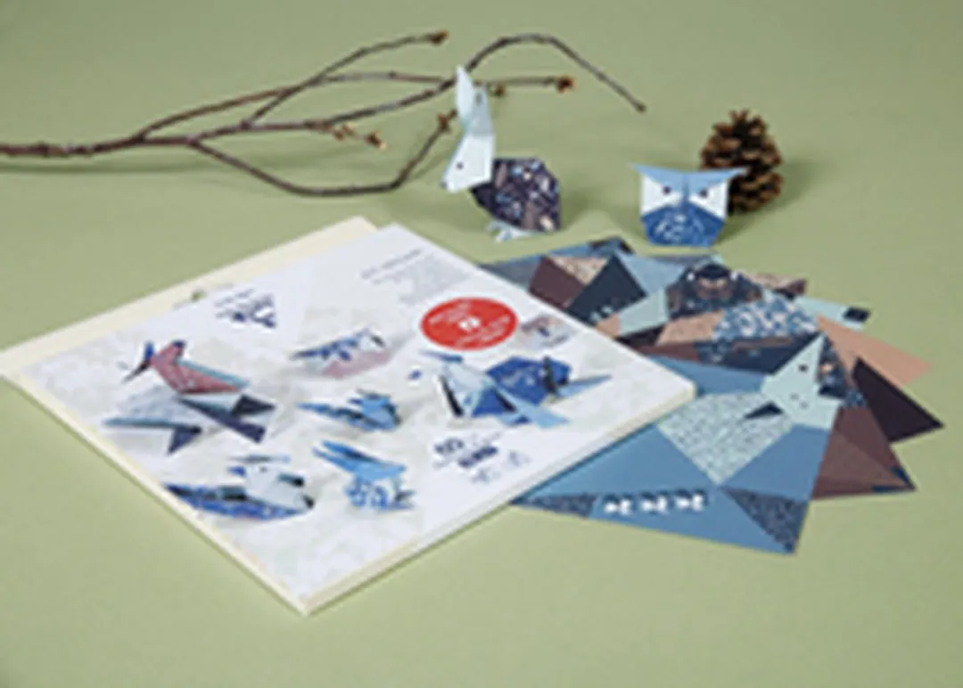 Clairefontaine Origami Papier Wouddieren - 60 Vel - 10x15cm