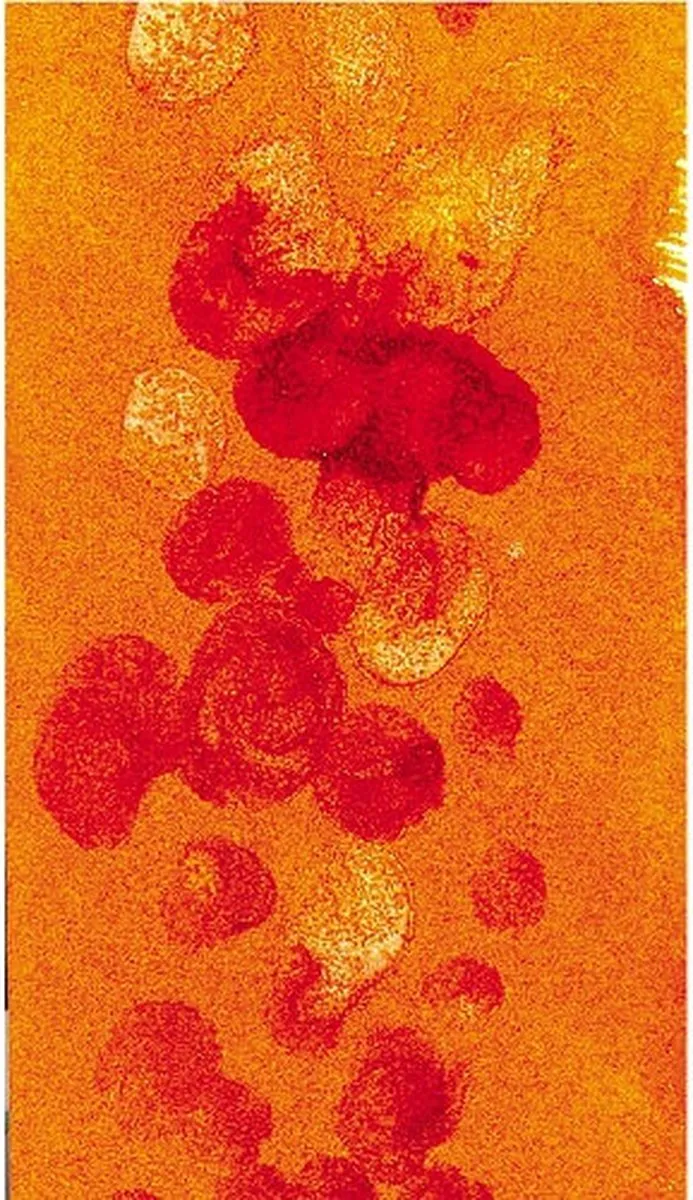 Winsor & Newton Aquarel Granuleer Medium 75ml
