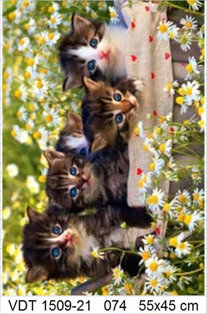 VDTOYS Diamond Painting VDTA074 Kittens 3 - Groot 55x45cm