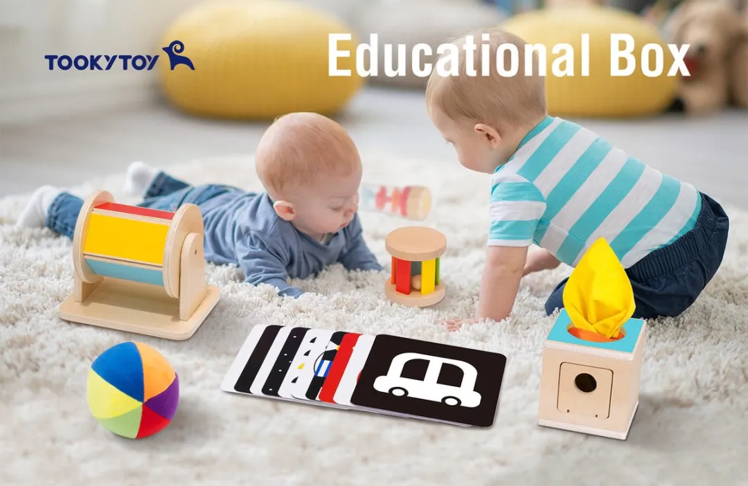 Tooky Toy Educatieve Houten Speelgoed Box TK750 - 21-delig