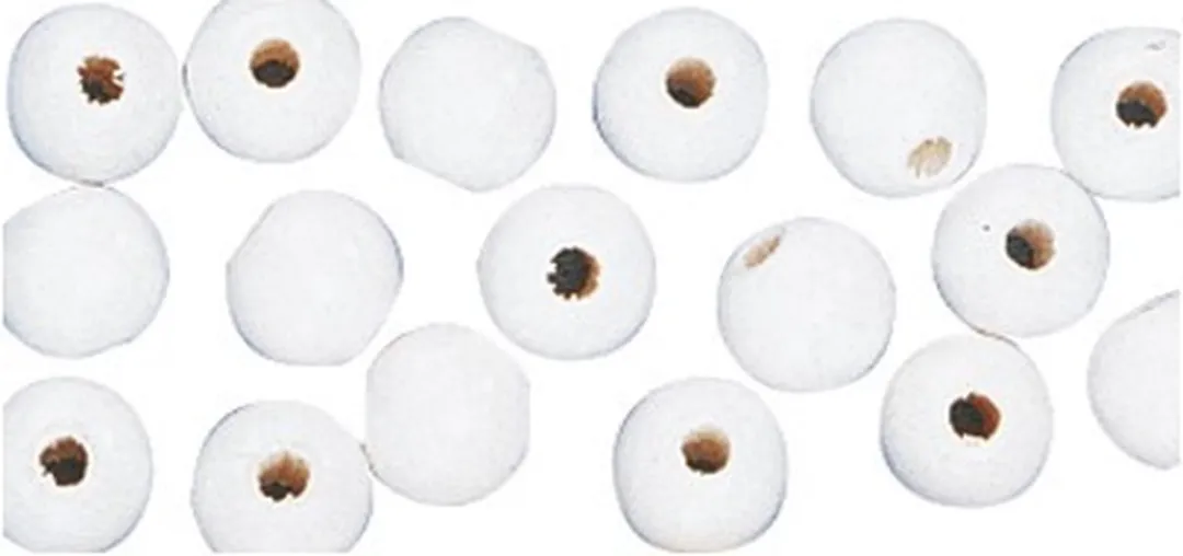Rayher Hobby Houten Kralen 10mm - 52 Stuks Wit
