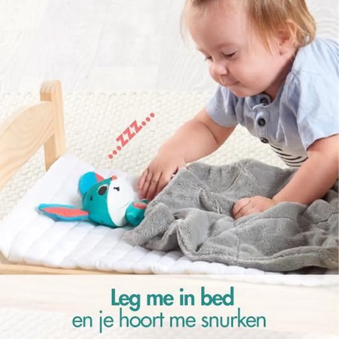Tiny Love Wonder Buddies - Thomas Konijn
