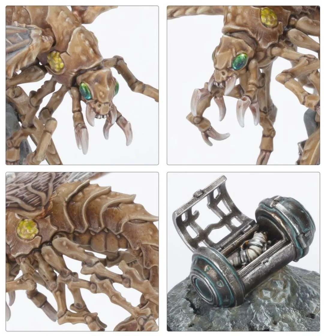 Necromunda Ash Wastes Nomads Ashwing Helamites