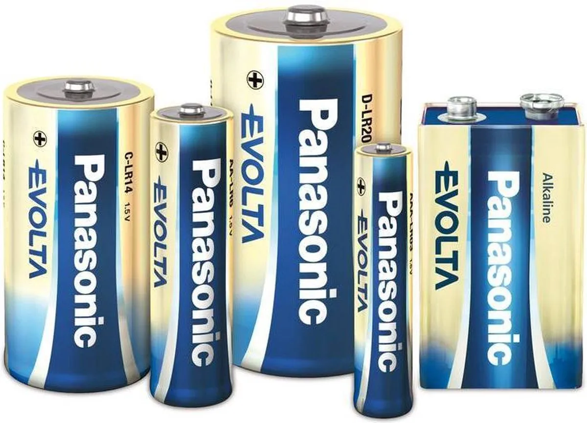 Panasonic Evolta C Alkaline Batterij - 2 Stuks