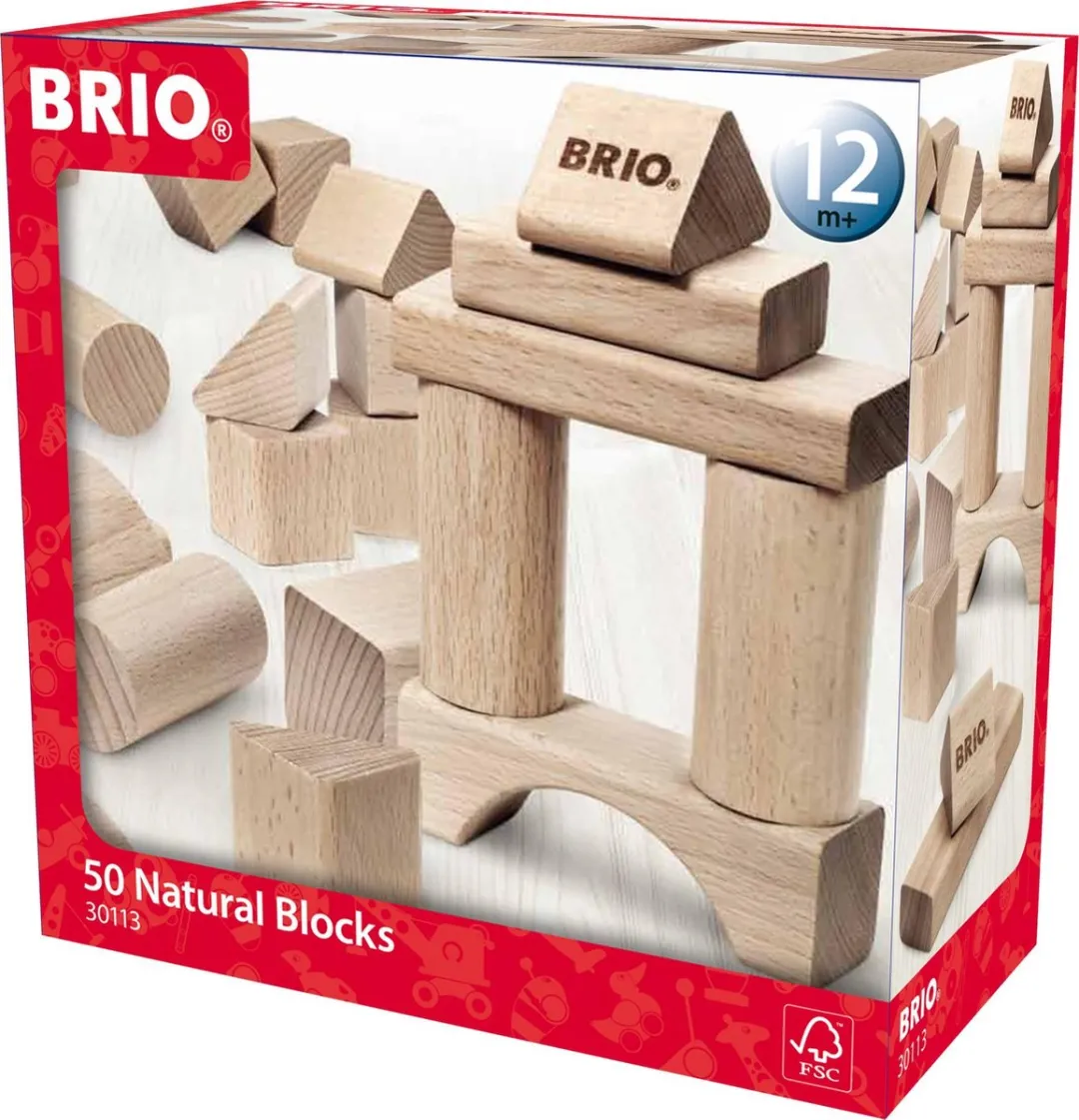 BRIO Blokkenset 30113