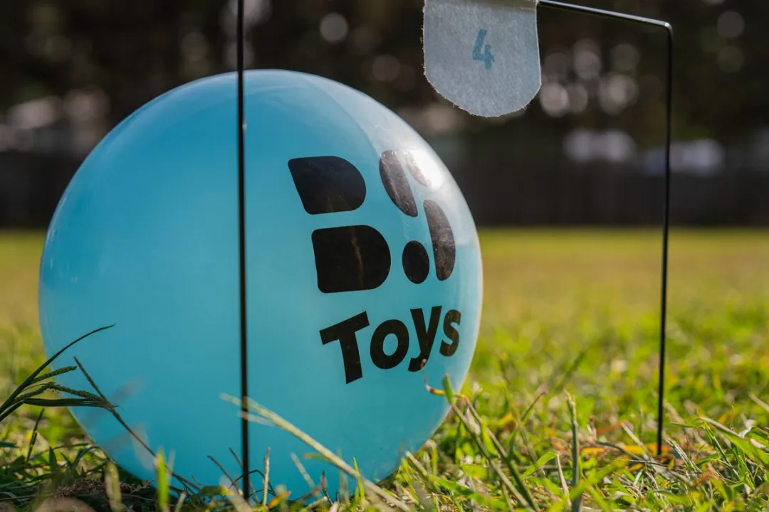 BS Toys Voetbal Croquet GA557 - 4 Ballen