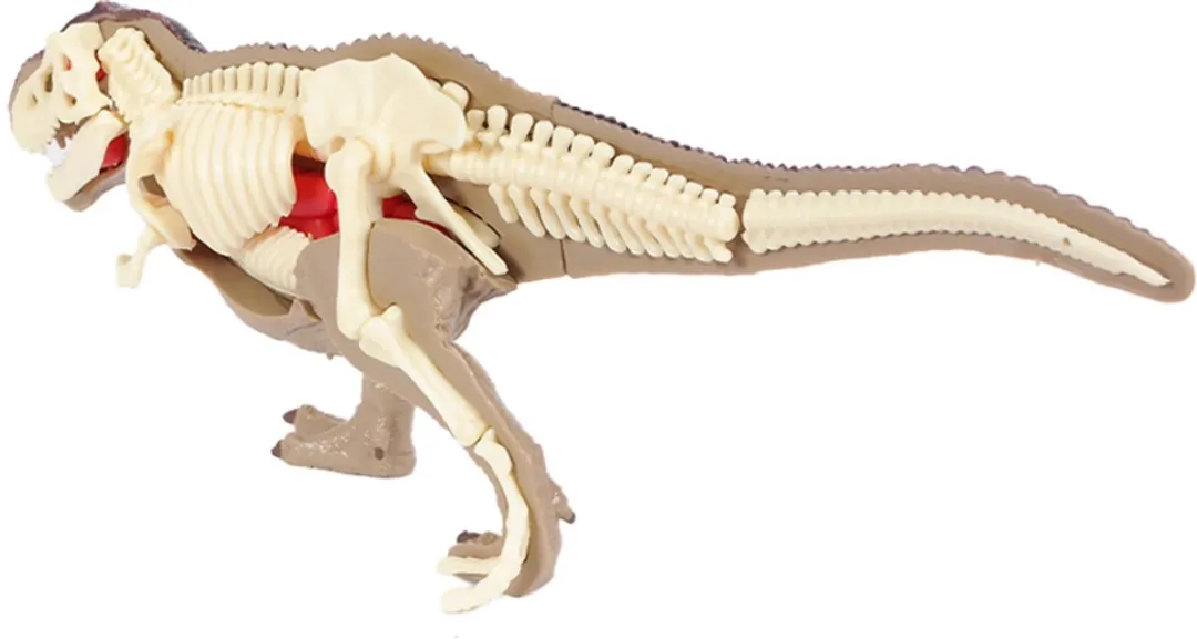 PIA Soft Toys Dino 3D Anatomie T-rex - Bruin