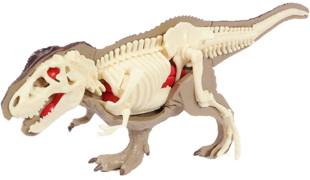 PIA Soft Toys Dino 3D Anatomie T-rex - Bruin