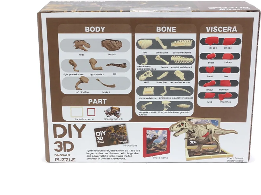 PIA Soft Toys Dino 3D Anatomie T-rex - Bruin - afbeelding 6 van 6