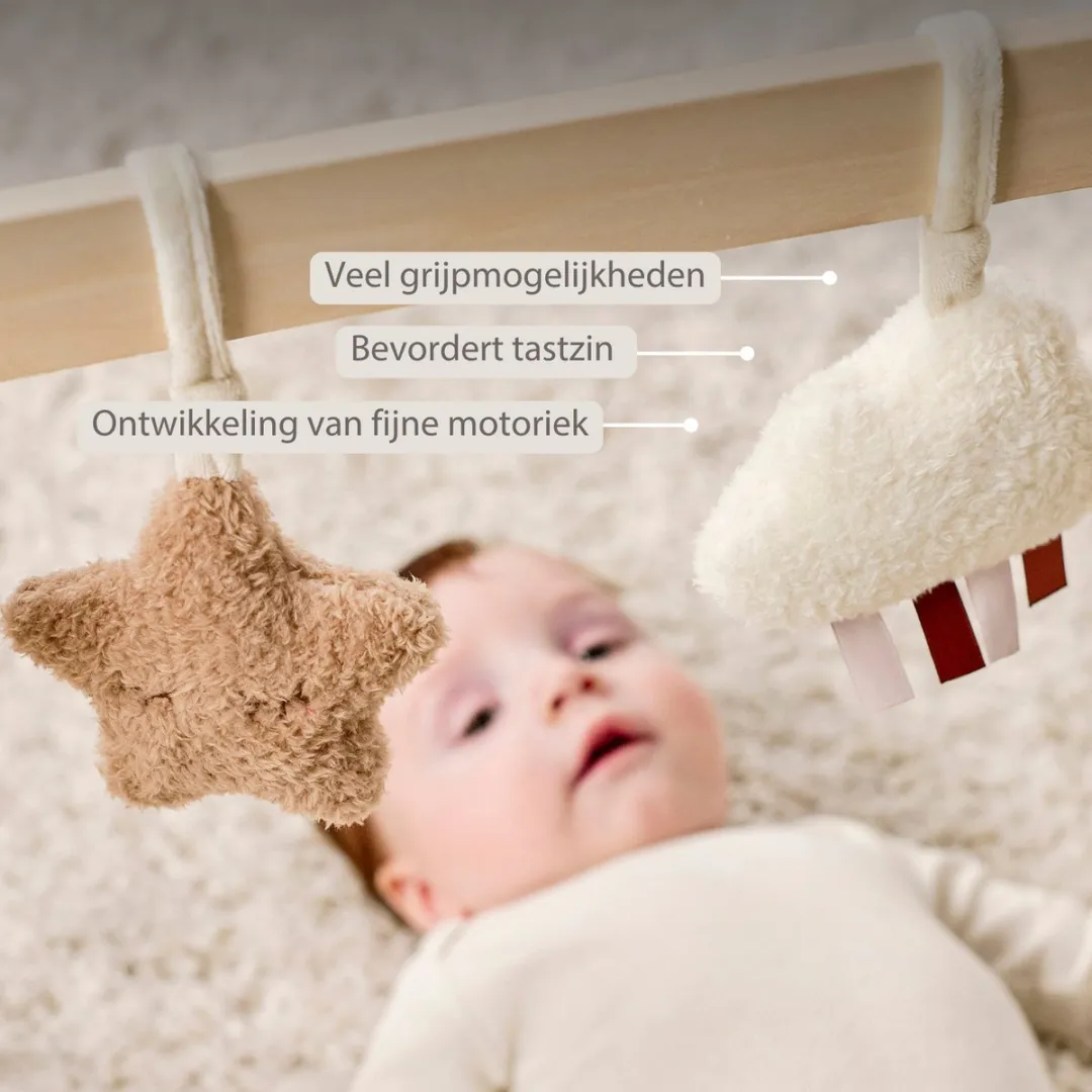 Nattou Teddy Houten Speelboog Baby 60x48cm - Beige