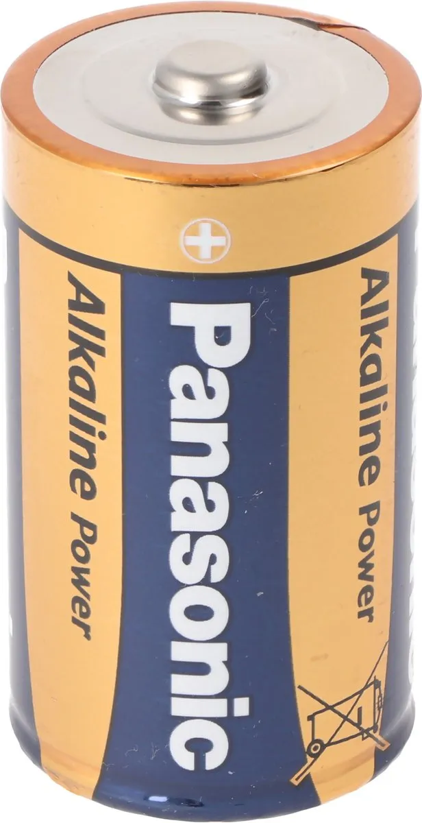 Panasonic PBALR020B2 Alkaline Batterij Type D - 2 Stuks