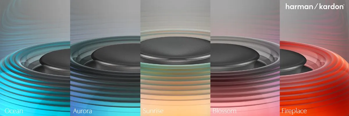 Harman Kardon Aura Studio 5 Wi-Fi - Zwart