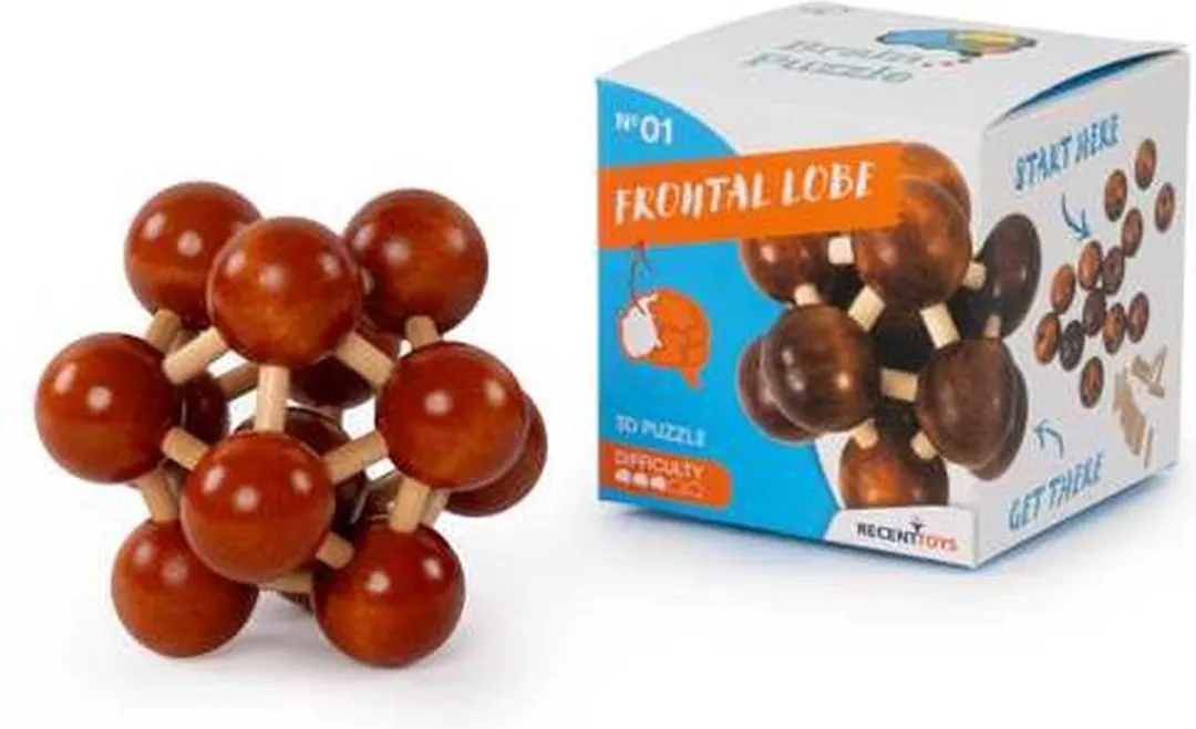 Recent Toys Frontal Lobe Houten Breinbreker Puzzel - 791139