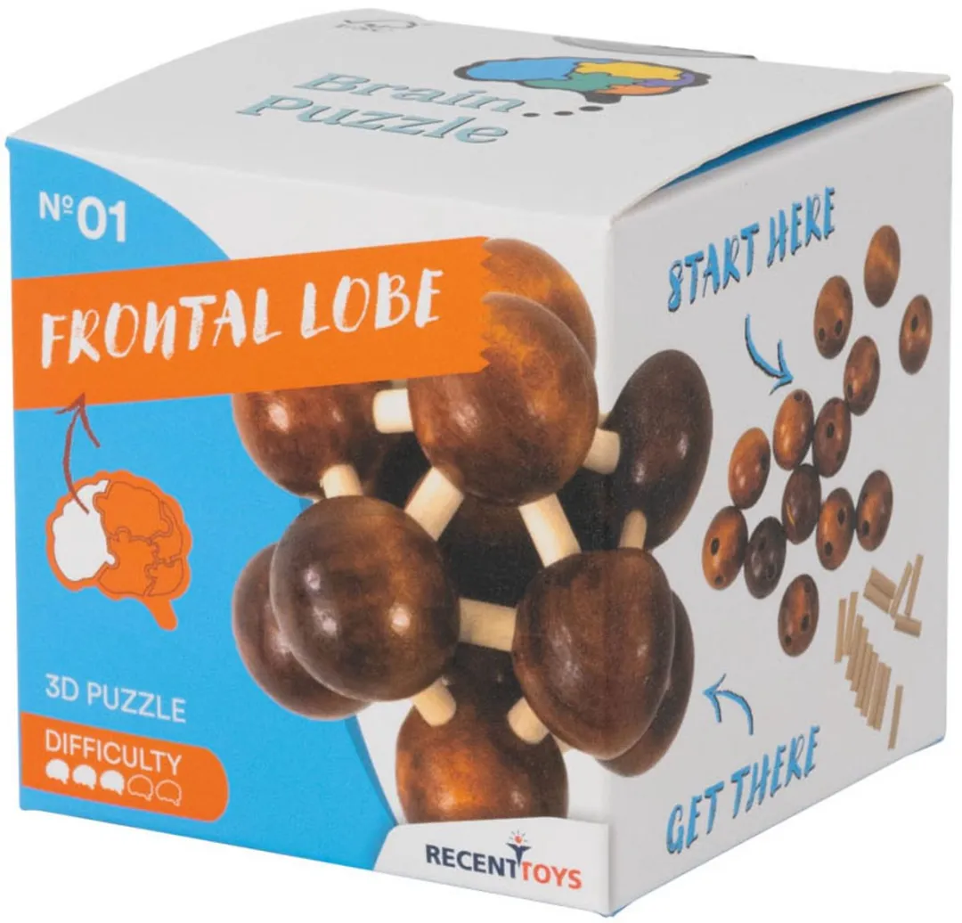 Recent Toys Frontal Lobe Houten Breinbreker Puzzel