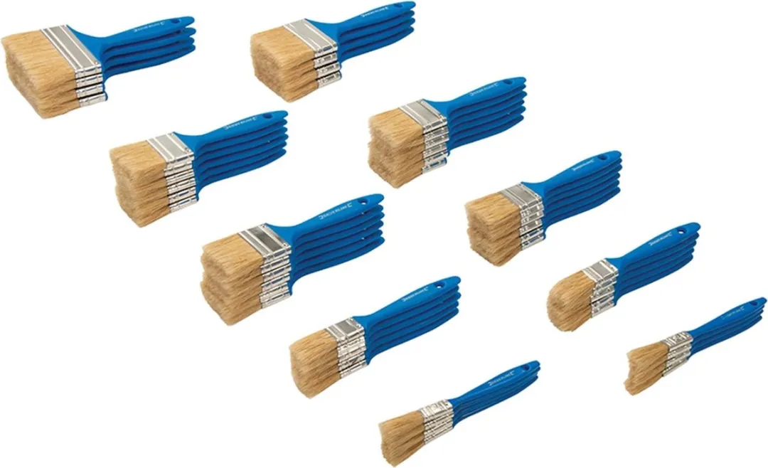 Silverline Wegwerp Schilderskwasten Set 50 Stuks