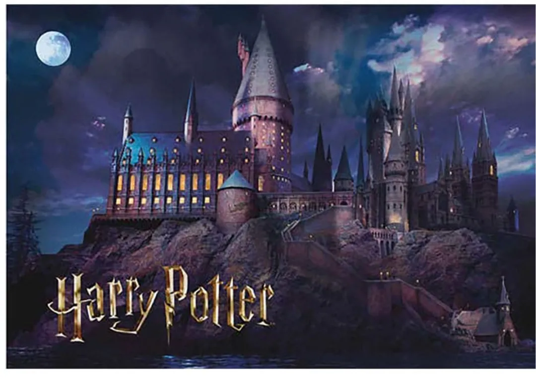 SD Toys Harry Potter Puzzel Hogwarts School (1000 pieces) Multicolours