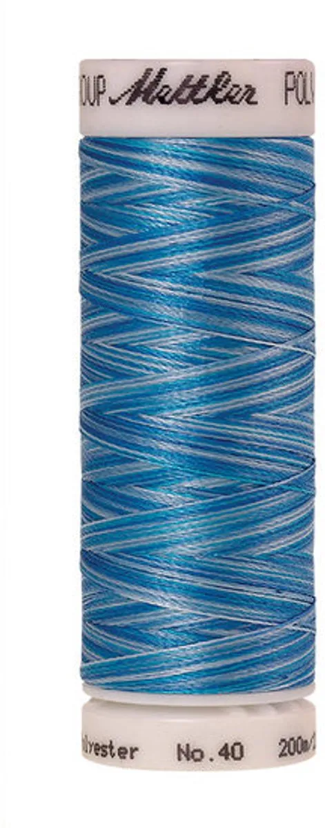 Amann Mettler Poly Multi Borduurgaren 9930