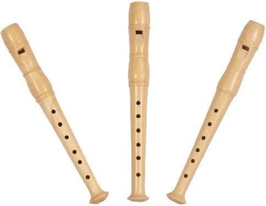 Goki Blokfluit Hout - Multi
