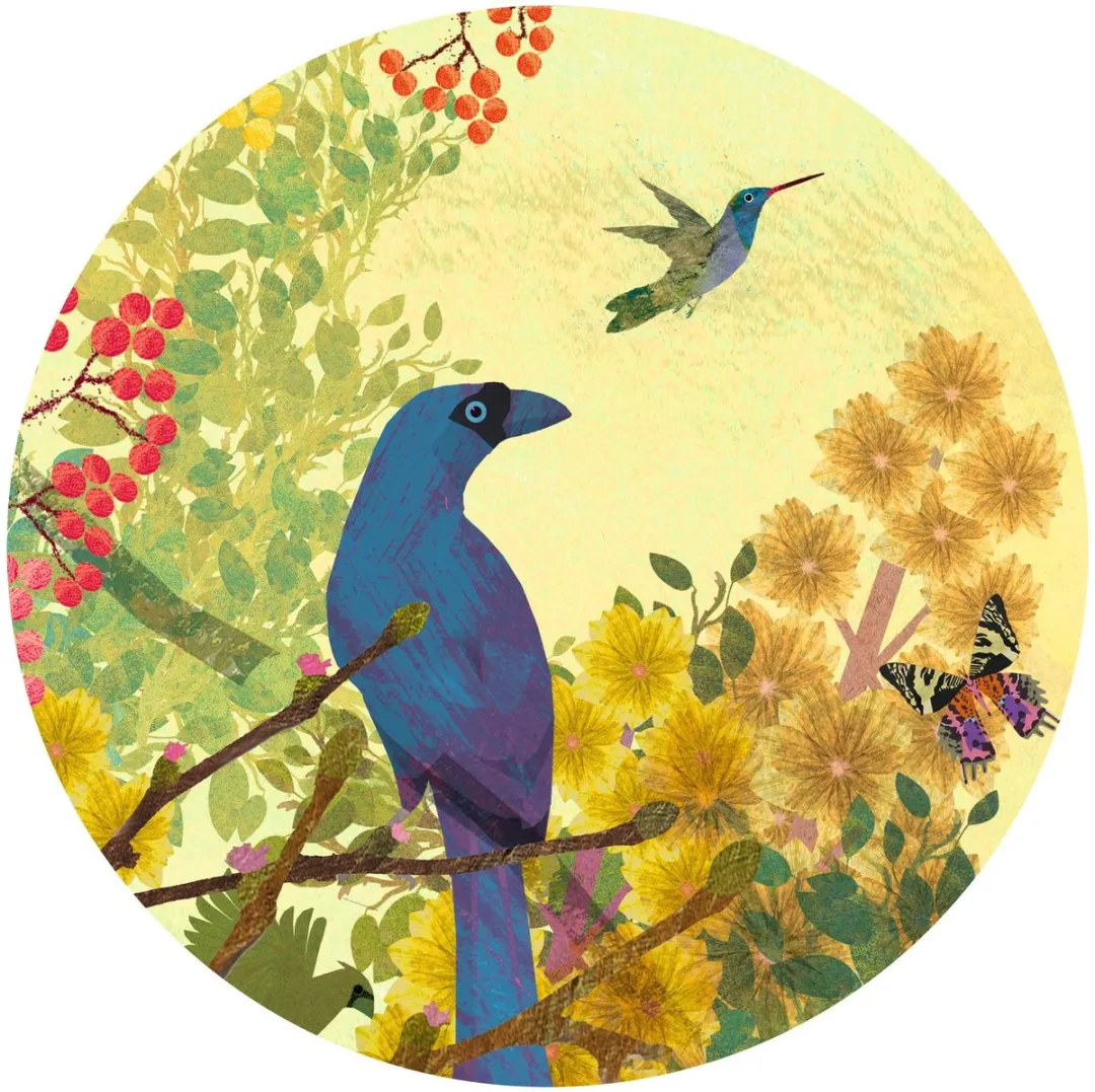 Djeco Peaceful Birds Puzzel 1000 Stuks