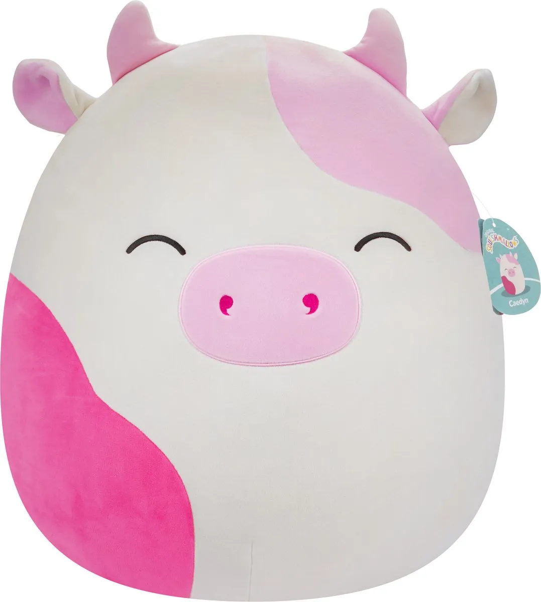 Squishmallows Caedyn Plush