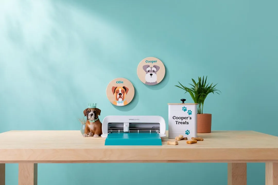Cricut Joy Xtra Startersbundel - Wit