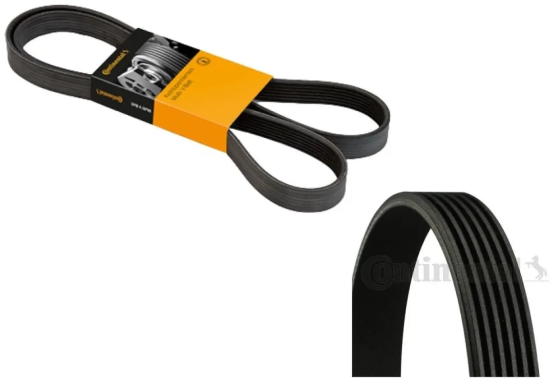 Continental Multiriem CONTITECH 5PK1236 Poly V-riem - 1 Stuk