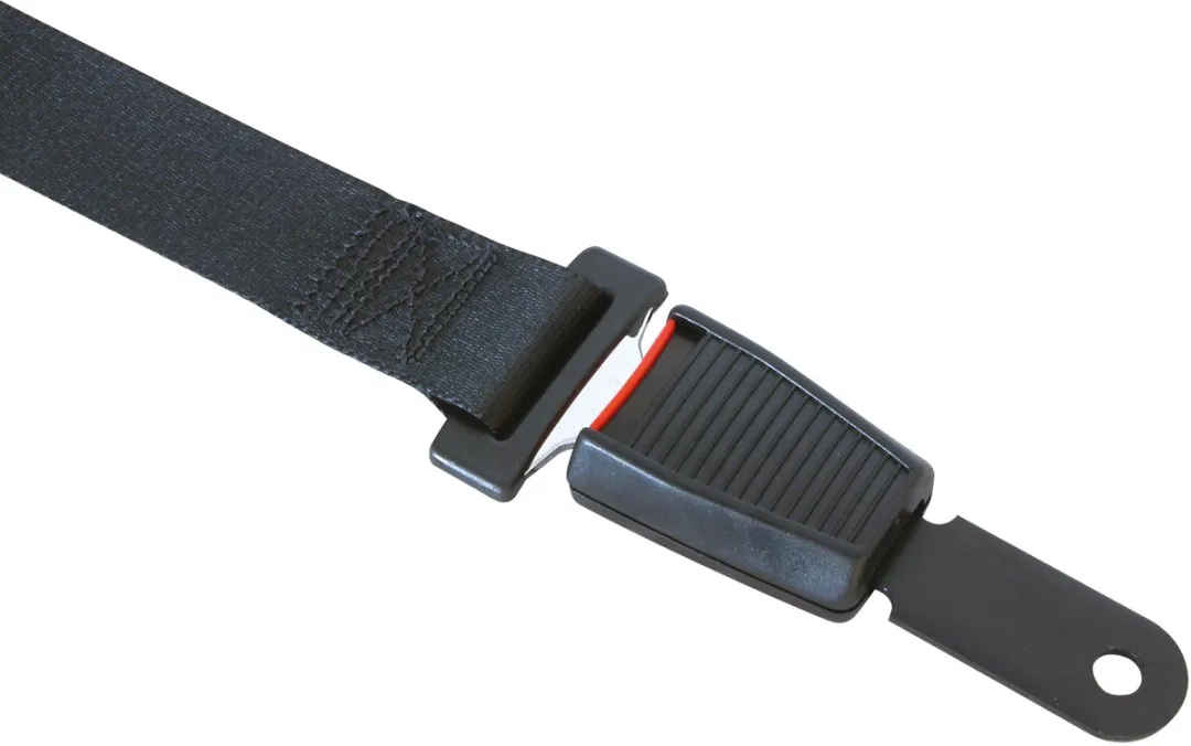 Carpoint 2-punts Gordel Automatisch 100cm - Zwart