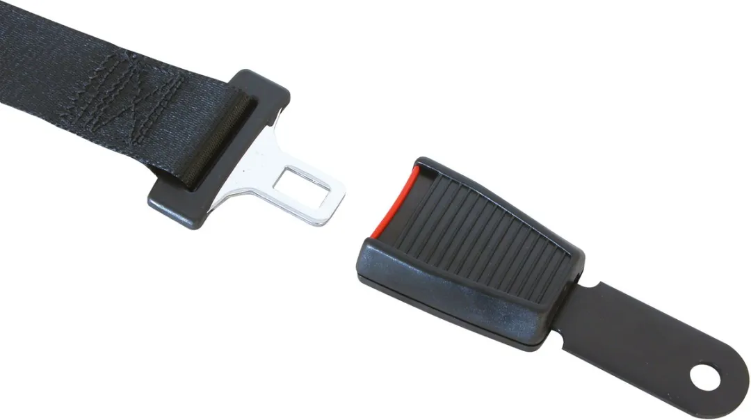 Carpoint 2-punts Gordel Automatisch 100cm - Zwart