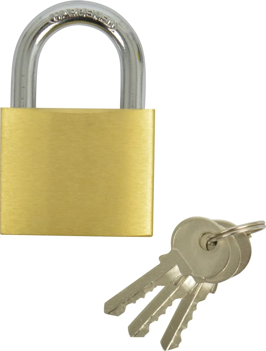 Carpoint Hangslot 50mm - Zilver