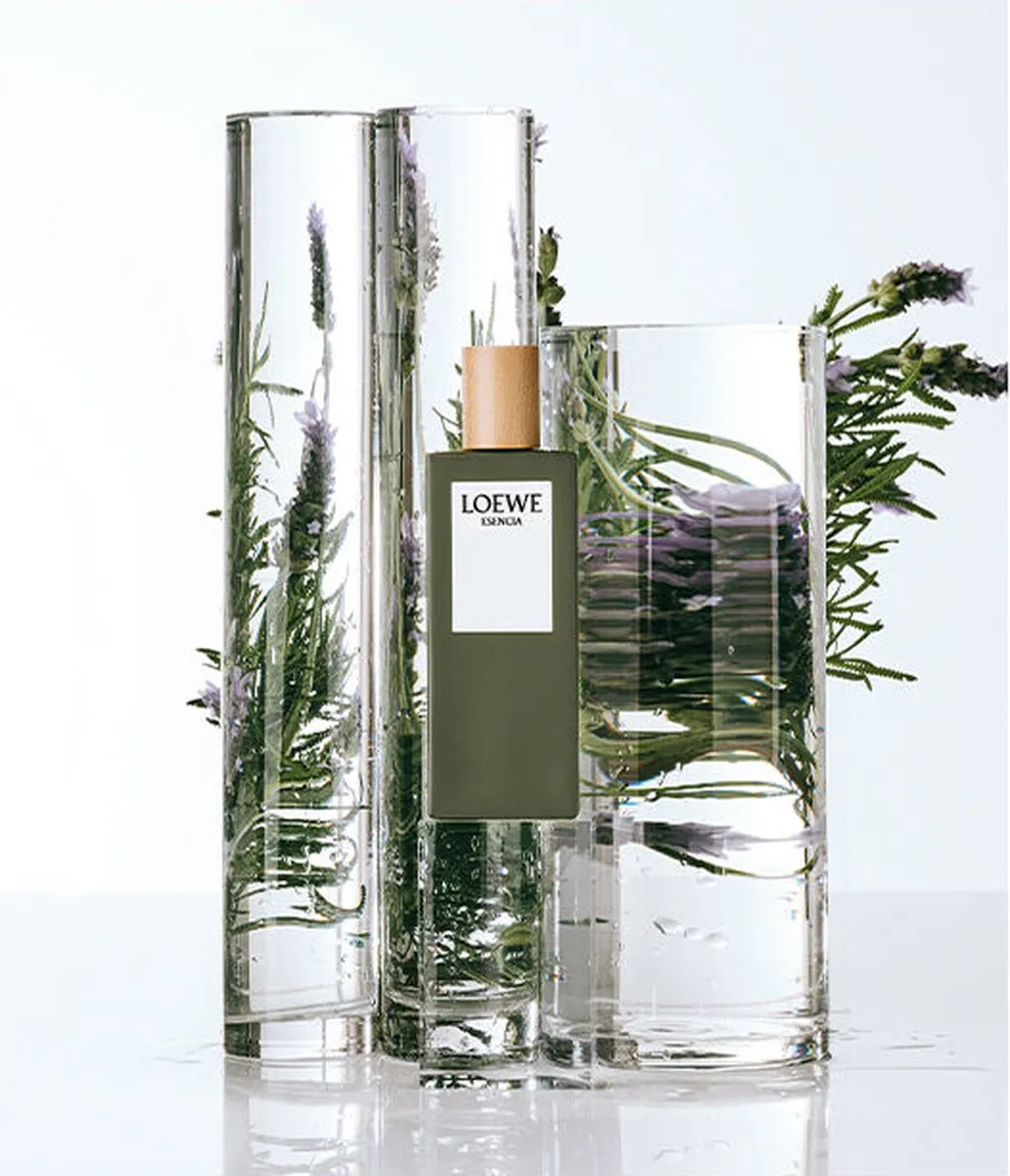 Loewe Esencia EDT - 150ml