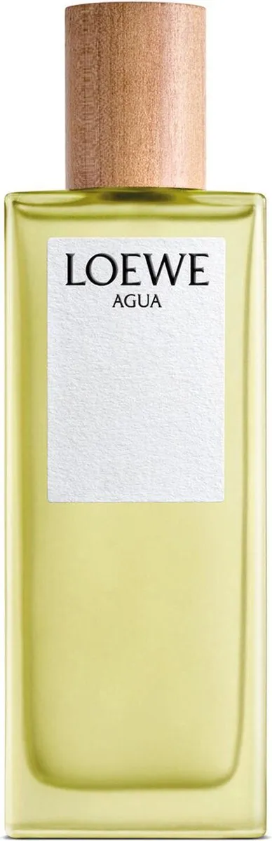 Loewe Agua Eau de Toilette 100ml
